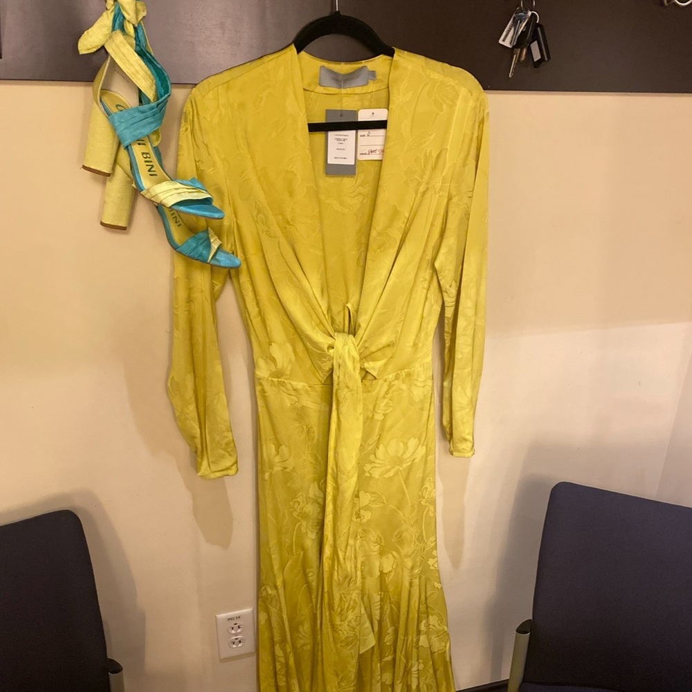 Silvia Tcherassi Long Sleeve Silk Gown Chartreuse